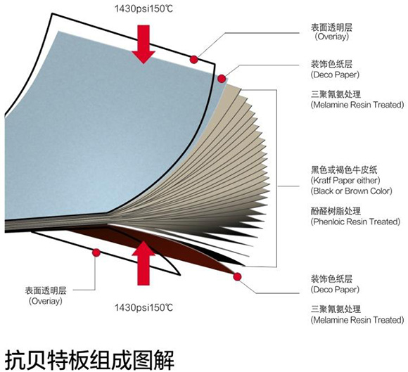 小黄片观看抗倍特板组成图解