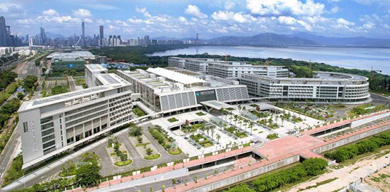 小黄片观看工程案例之香港大学深圳医院